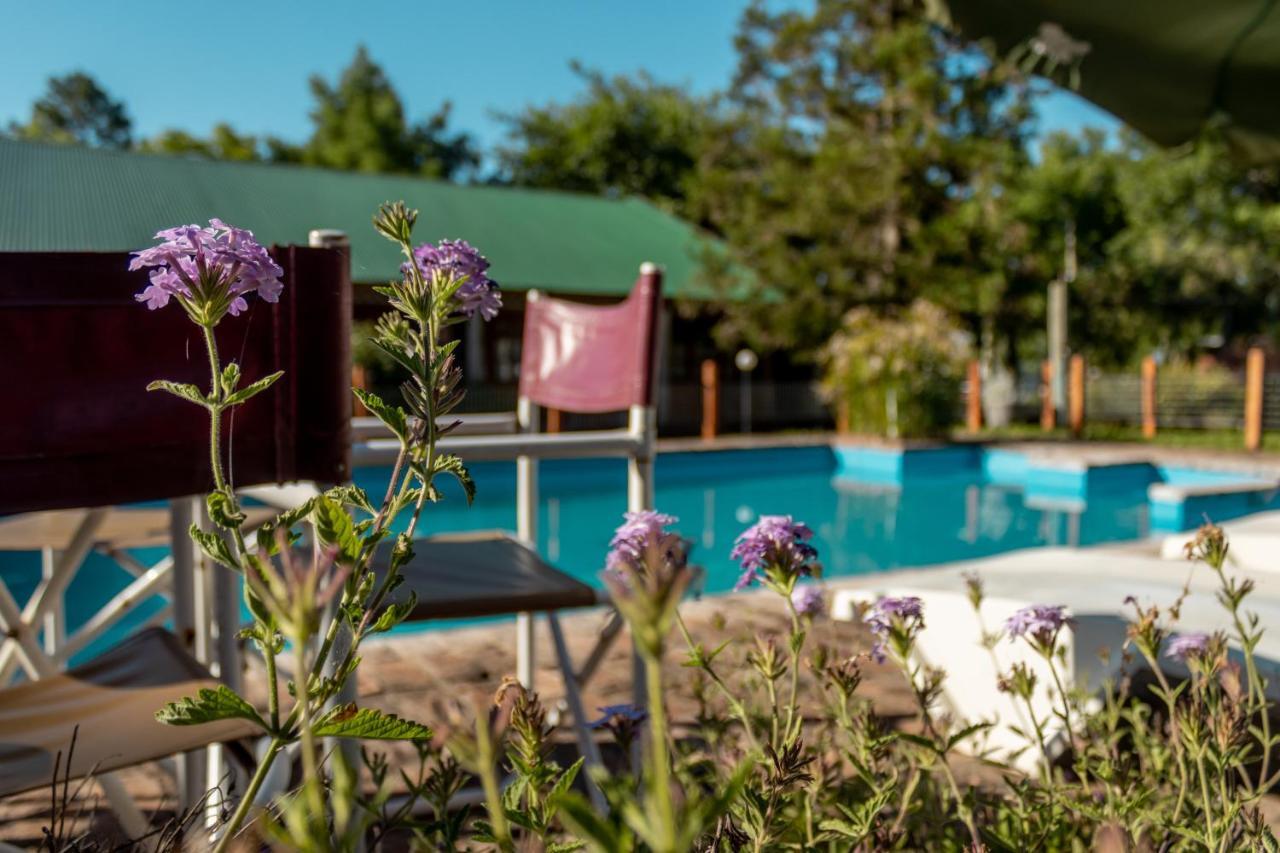 Termas del Daymán Hostal Canela מראה חיצוני תמונה