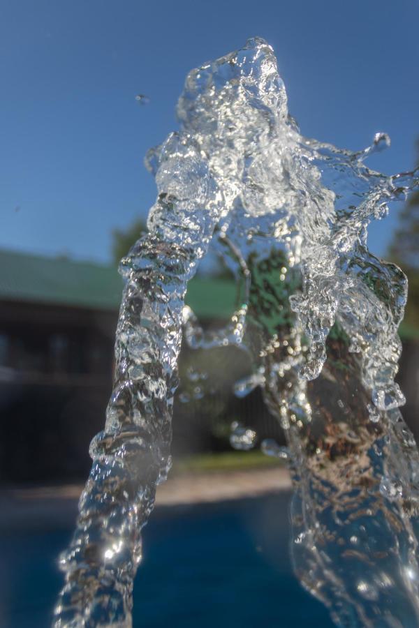 Termas del Daymán Hostal Canela מראה חיצוני תמונה